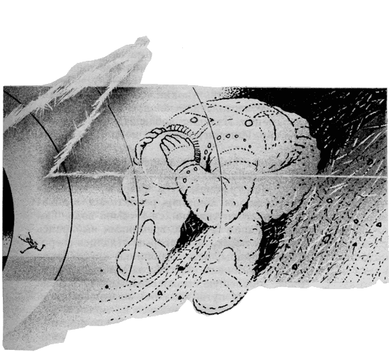 Мистификация (сборник) - i_003.png