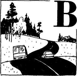 Волосы Вероники - i_009.jpg