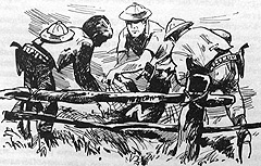 Томек в стране кенгуру - pic14.jpg