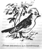 Томек среди охотников за человеческими головами - pic3.png