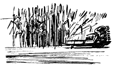 Искатель, 1961 №5 - i_004.png