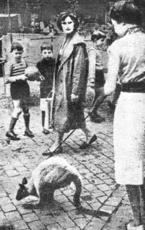 Искатель, 1961 №5 - i_042.jpg