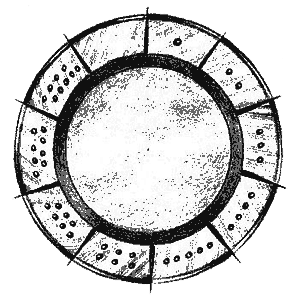 Нина и загадка Восьмой Ноты - img026.png