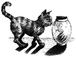 Нина и тайный глаз Атлантиды - img27.png