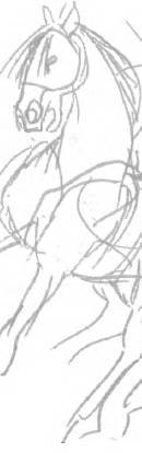 Снег и виноград. О любви и не только - _20.jpg