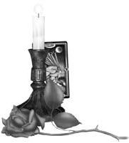 Знак ведьмы - i_002.jpg