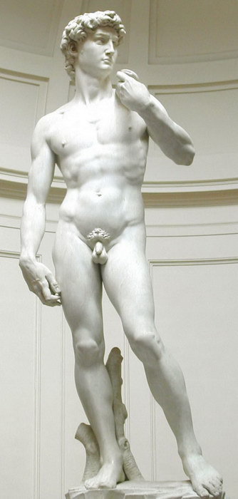 Жизнь Микеланджело - i_031.jpg