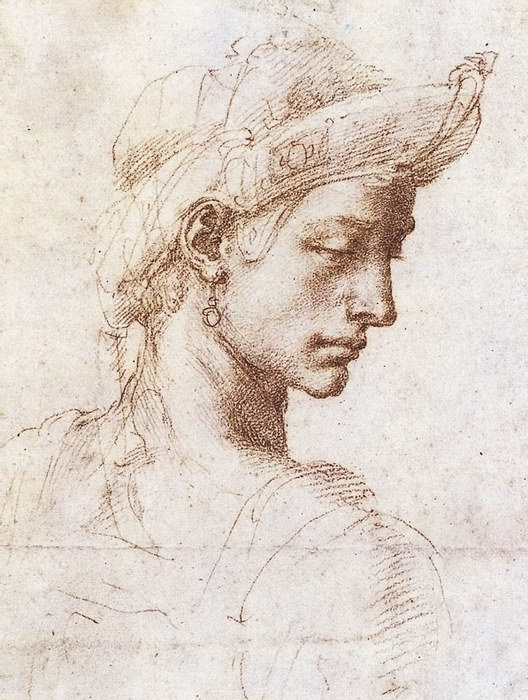 Жизнь Микеланджело - i_048.jpg