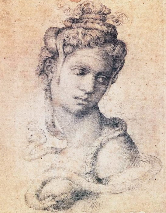 Жизнь Микеланджело - i_092.jpg