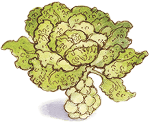 Таинственный сад - i_022.png