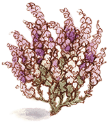 Таинственный сад - i_037.png