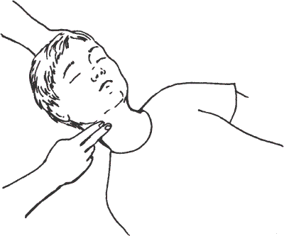 Быстрая помощь в экстренных ситуациях - i_002.png