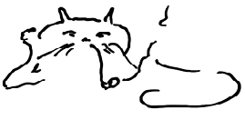 Кот (сборник) - i_010.png