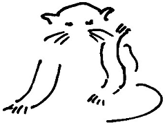 Кот (сборник) - i_031.png