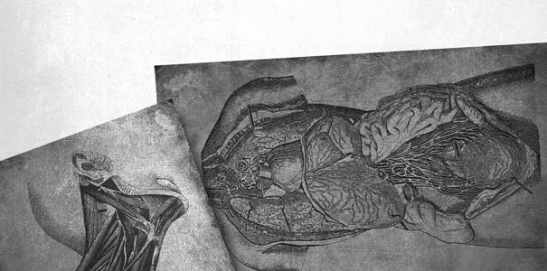 Приют - i_012.jpg