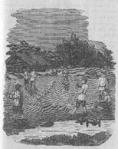 Лишний рот - i_001.jpg