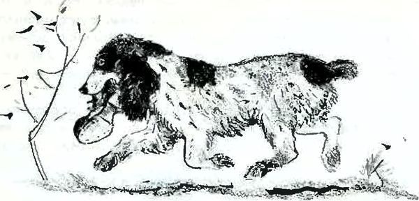 В краю дедушки Мазая<br />(Рассказы) - i_013.jpg