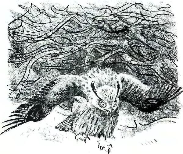 В краю дедушки Мазая<br />(Рассказы) - i_017.jpg