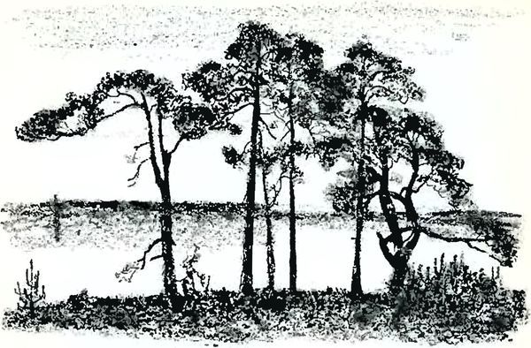 В краю дедушки Мазая<br />(Рассказы) - i_020.jpg