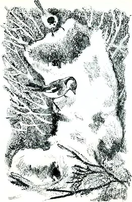 В краю дедушки Мазая<br />(Рассказы) - i_021.jpg