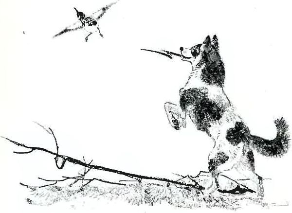 В краю дедушки Мазая<br />(Рассказы) - i_022.jpg