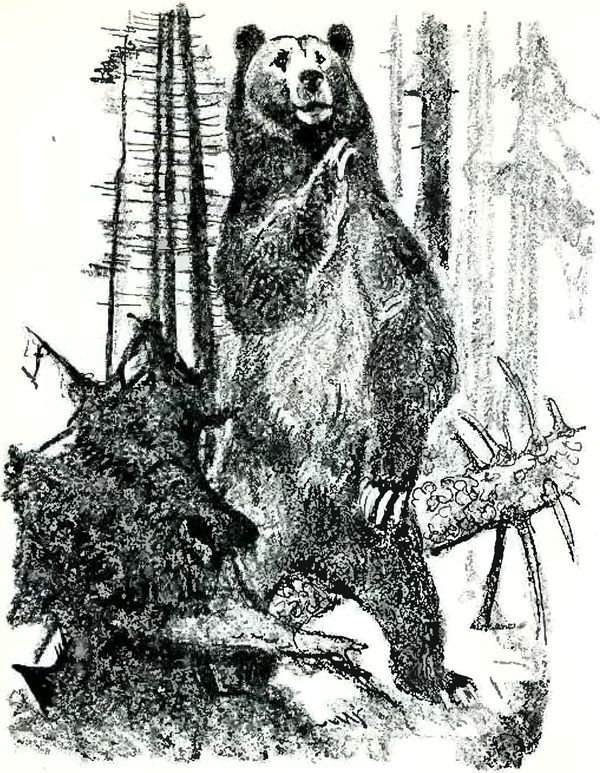 В краю дедушки Мазая<br />(Рассказы) - i_023.jpg