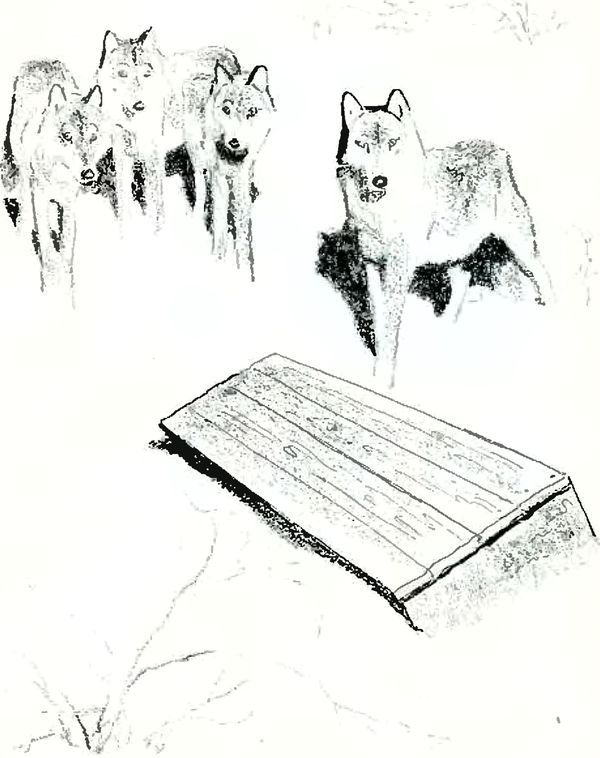 В краю дедушки Мазая<br />(Рассказы) - i_024.jpg