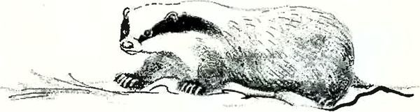 В краю дедушки Мазая<br />(Рассказы) - i_025.jpg