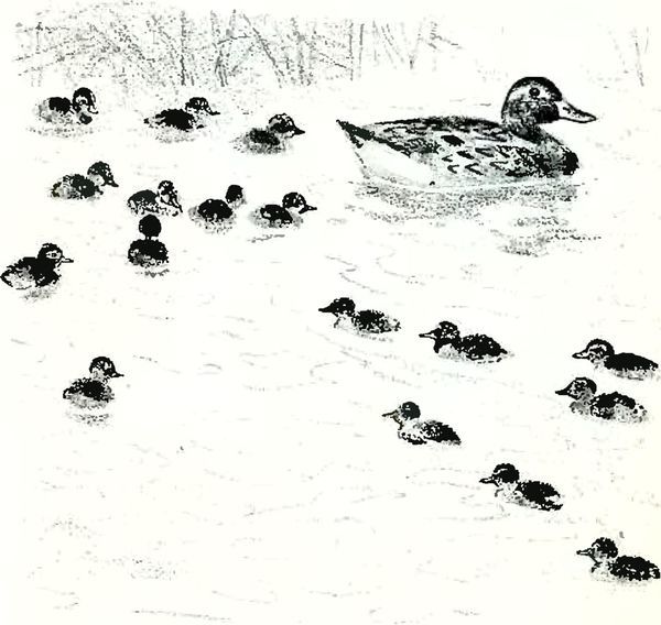 В краю дедушки Мазая<br />(Рассказы) - i_027.jpg