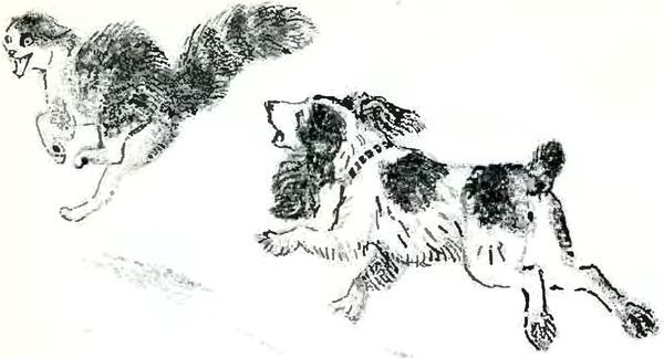 В краю дедушки Мазая<br />(Рассказы) - i_029.jpg