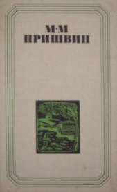 Глаза земли. Корабельная чаща - автор Пришвин Михаил Михайлович 