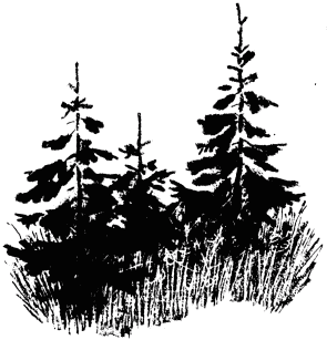 Говорящий грач (сборник рассказов) - i_001.png