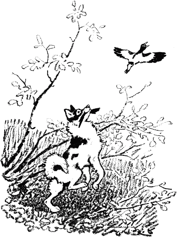 Говорящий грач (сборник рассказов) - i_020.png