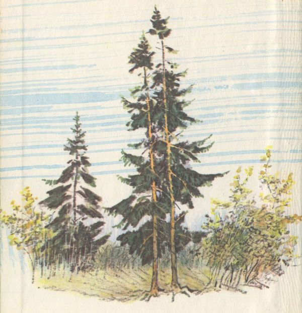 Говорящий грач (сборник рассказов) - i_046.jpg