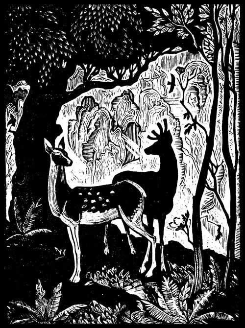 Дорогие звери - i_004.jpg