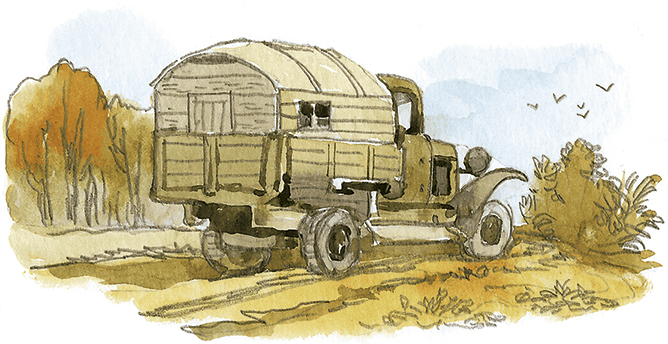 Лисичкин хлеб - i_001.png