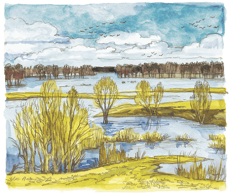 Лисичкин хлеб - i_004.png