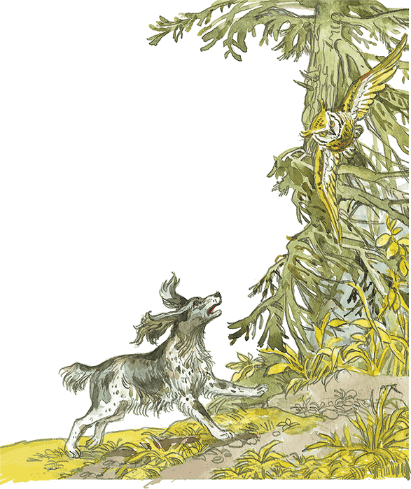 Лисичкин хлеб - i_015.png