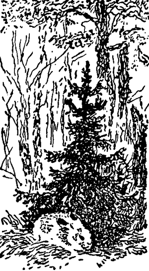 Найденыш - i_001.png