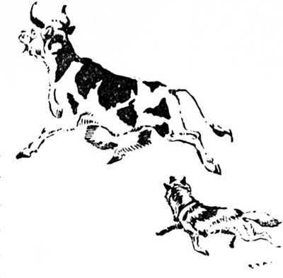 Зверь (сборник) - i_003.jpg