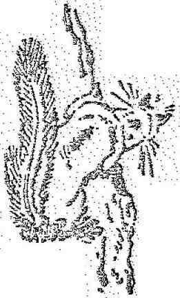 Красношейка - i_008.jpg