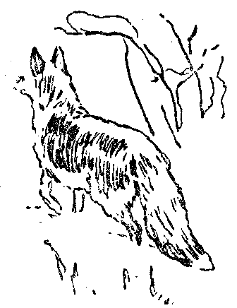 Моя жизнь (Художник В. Садков) - pic_11.png