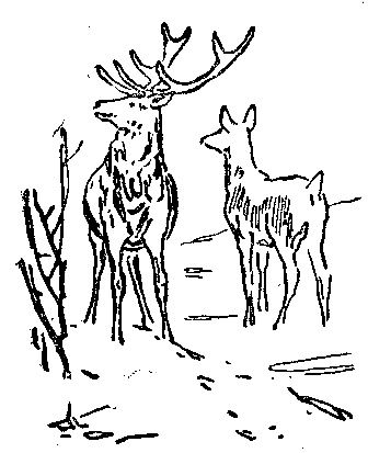 Моя жизнь (Художник В. Садков) - pic_13.png