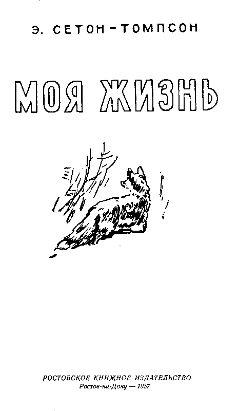 Моя жизнь (Художник В. Садков) - pic_2.png