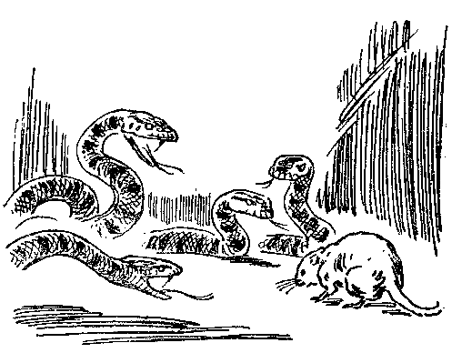 Моя жизнь (Художник В. Садков) - pic_5.png