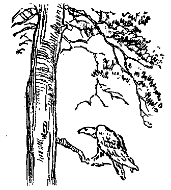 Моя жизнь (Художник В. Садков) - pic_6.png