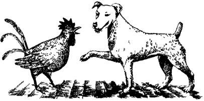 По обе стороны поводка - i_008.jpg