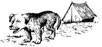 По обе стороны поводка - i_015.jpg