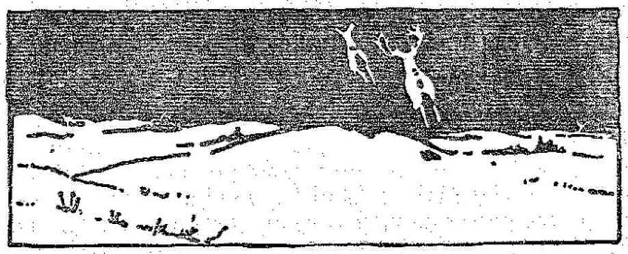 По следу оленя - i_001.jpg