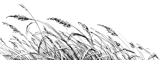 Рассказы о животных. С вопросами и ответами для почемучек - i_016.jpg